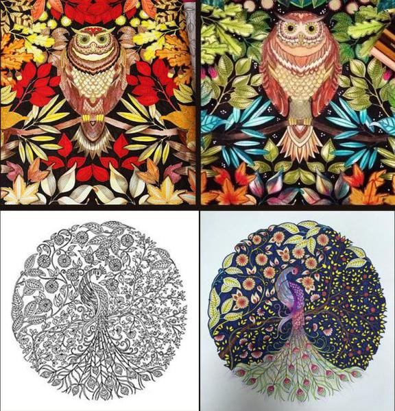 怎样做秘密花园 1440035177821_000.jpg