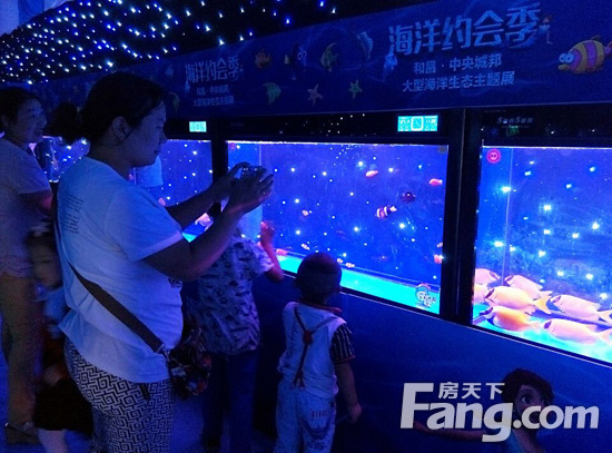 和昌中央城邦海洋约会季梦幻开启_洛阳楼市新