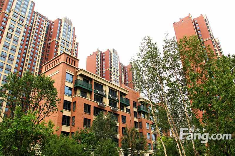 你所不知道的凤凰新城 惊喜在转眼之间