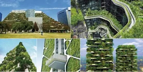 全城搭建垂直绿墙 空中花园和屋顶花园系统 地面都是公园 建筑外墙长