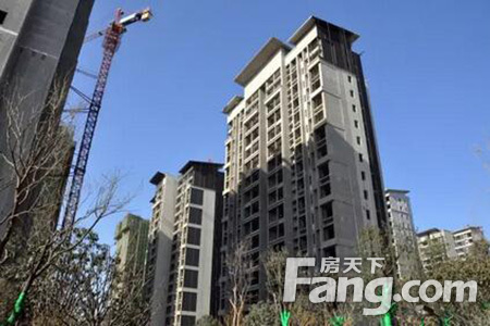 永威迎宾府最新工程进度 内含永威精细化秘籍