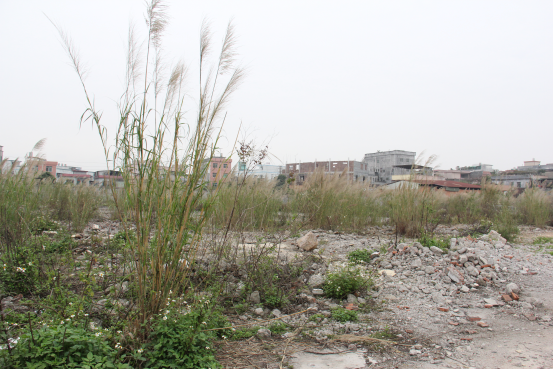 融创独有回应:地皇不算贵 项目要做区域价格