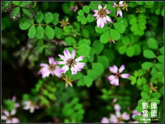 花岩溪游玩攻略,花岩溪游玩攻略一日游