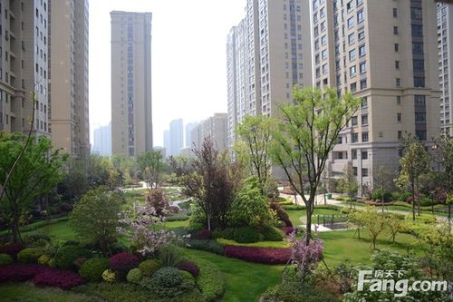 华鼎星城实景图