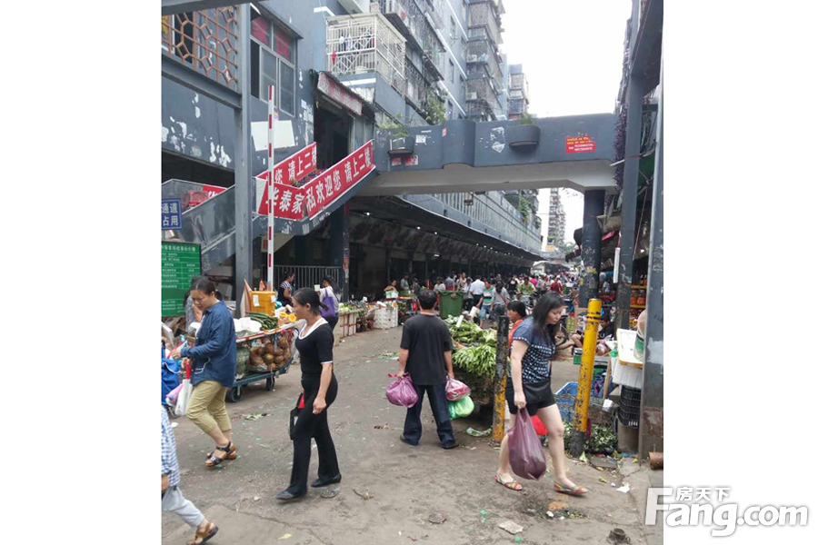 人口饱和密度_中国人口密度图