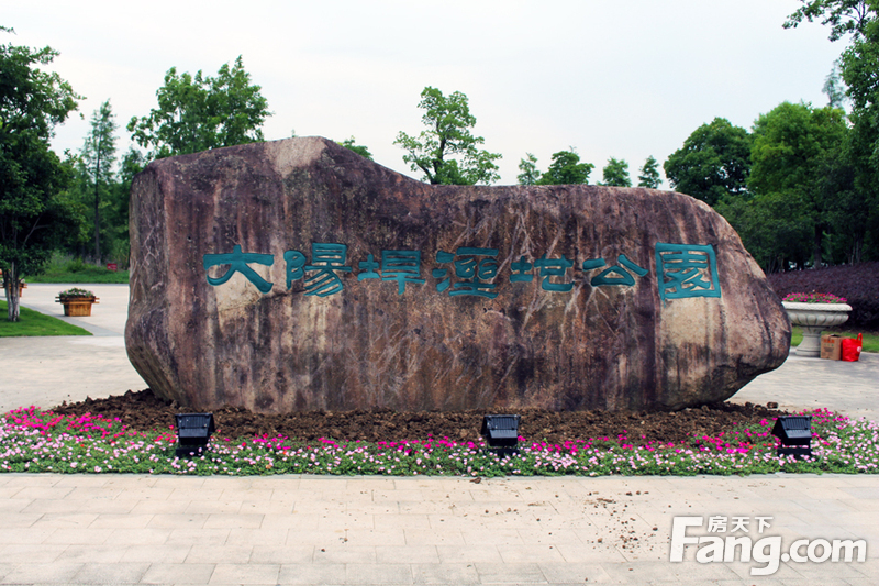 1711号宗地紧邻芜湖景观胜地之一-大阳垾湿地公园