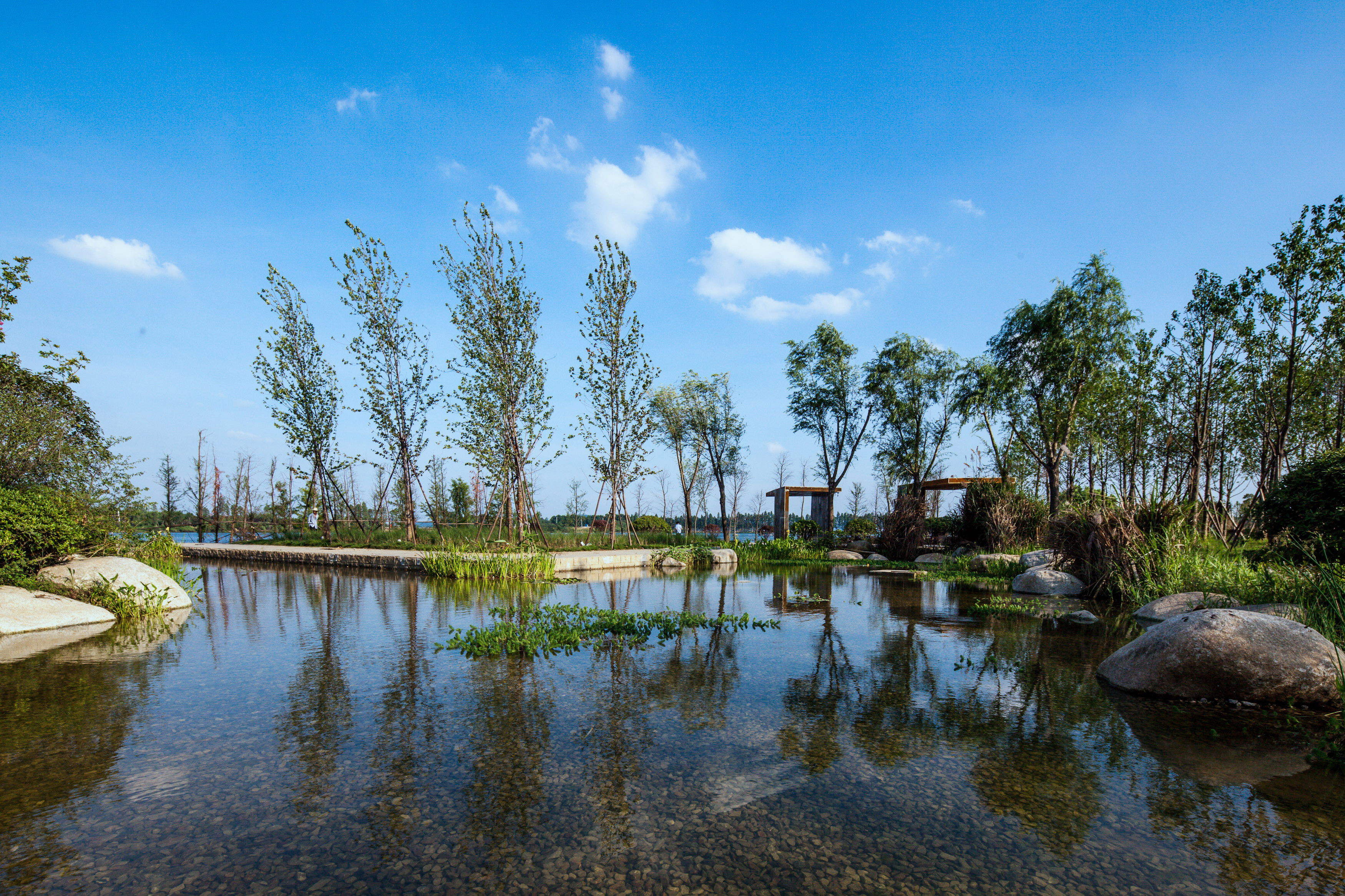 武汉华侨城湿地公园图片